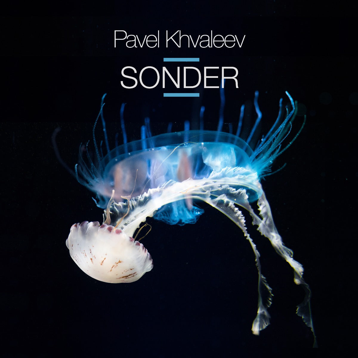 Pavel Khvaleev - Sonder