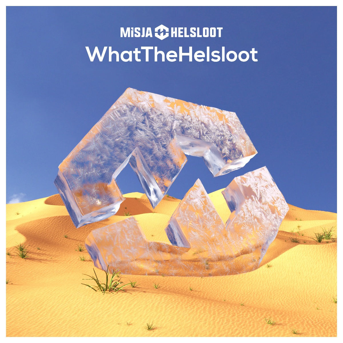 Misja Helsloot - WhatTheHelsloot