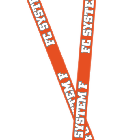 Ferry Corsten presents System F - Lanyard