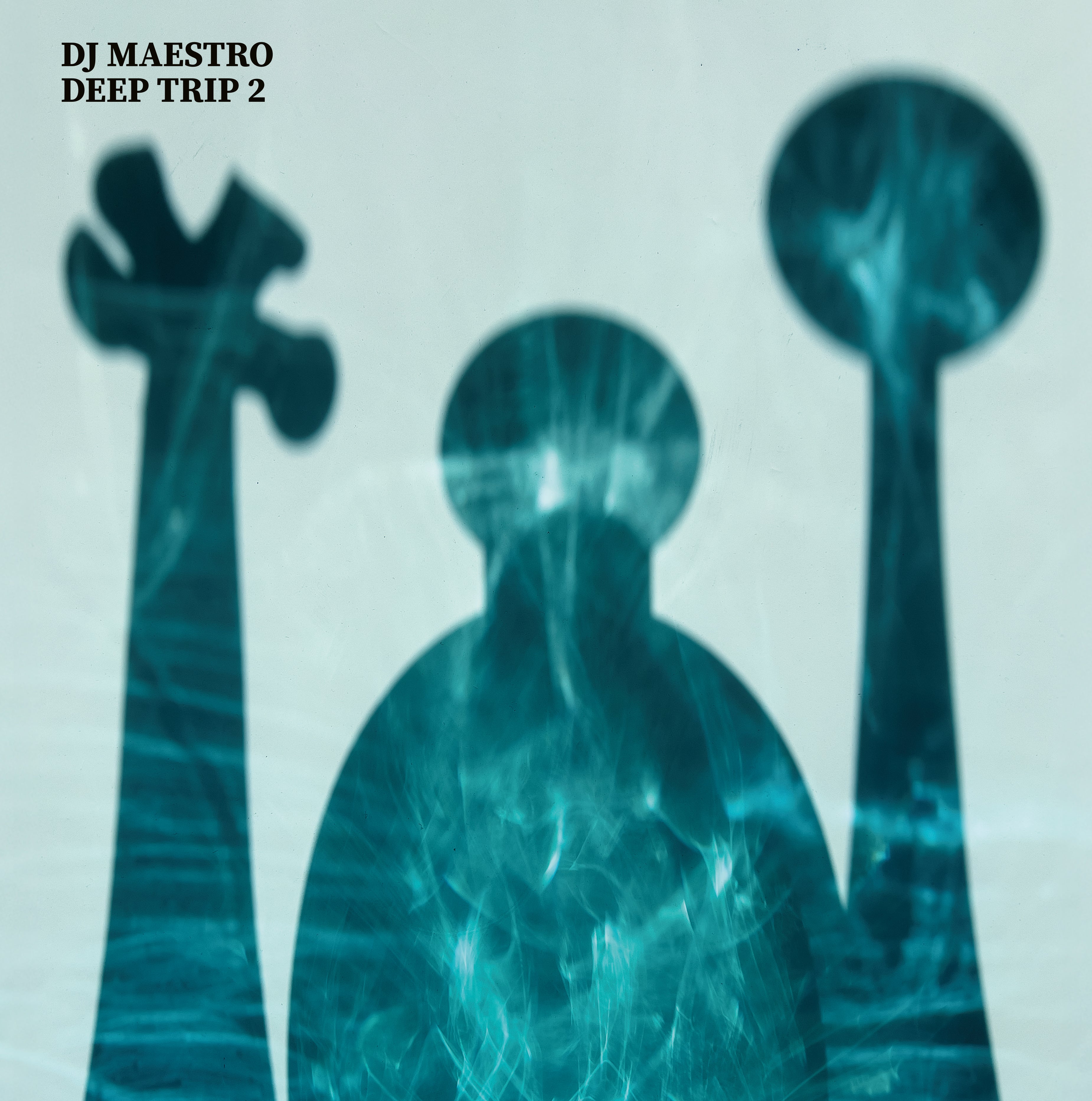 DJ Maestro - Deep Trip 2 (Vinyl) – Magik Muzik Shop