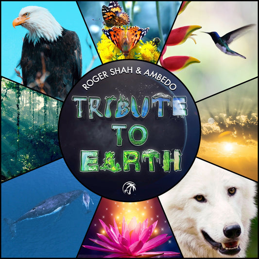 Roger Shah Tribute To Earth