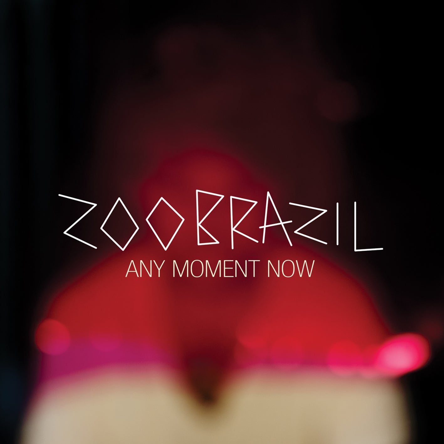 Zoo Brazil - Any Moment Now
